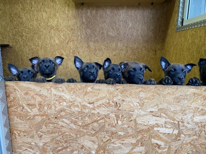 Newseintrag #801> Foto #1