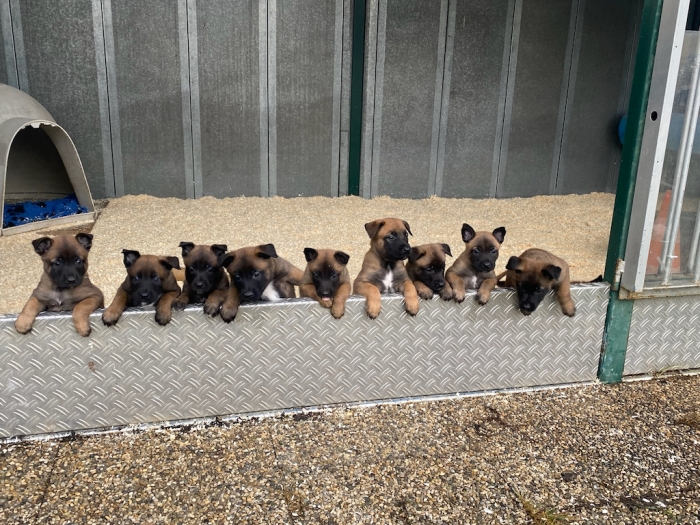 Newseintrag #802> Foto #1