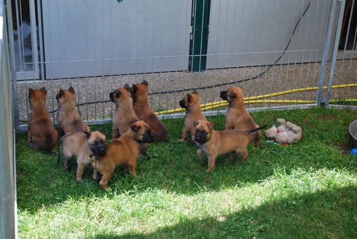 Newseintrag #808> Foto #1